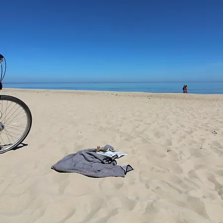 Апартаменти Traper *